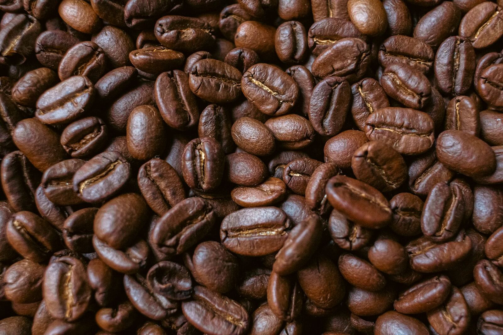 This morning's lot, roasted beans up close